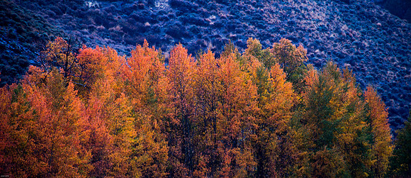 October Road Trip 2015-83