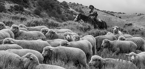 October Road Trip 2015-58