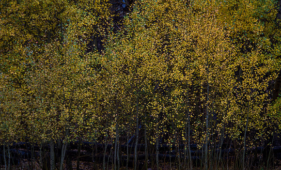 October Road Trip 2015-89