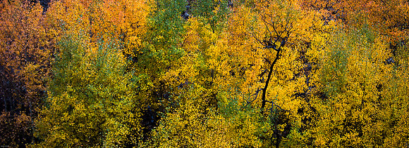 October Road Trip 2015-88
