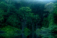Rio Negro Brazil