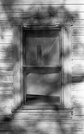 Whitman  165