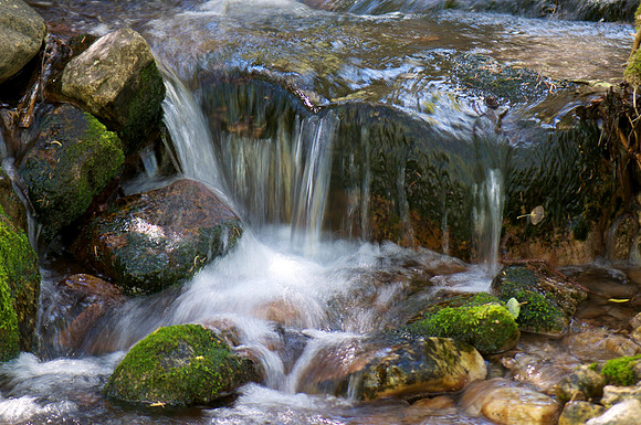 _DSC4058