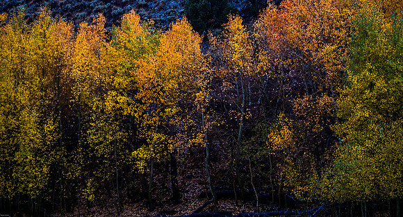 October Road Trip 2015-84