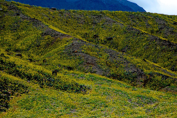 DSC_0320