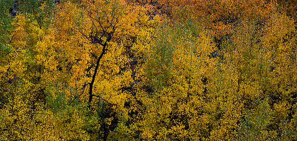 October Road Trip 2015-86