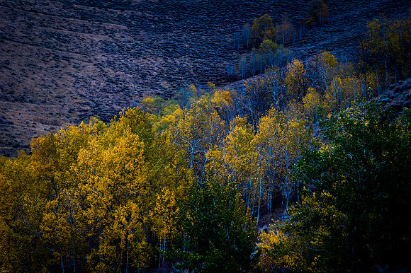 October Road Trip 2015-67