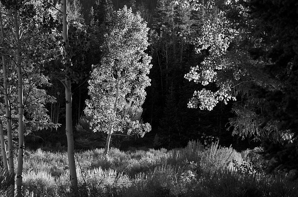 _DSC3862