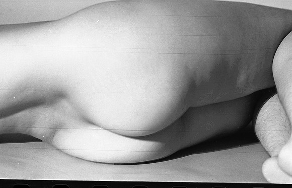 Whitman  15