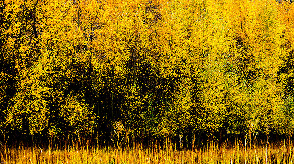 October Road Trip 2015-79