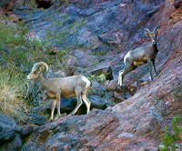 Black Canyon, Nevada