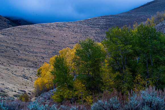 October Road Trip 2015-69