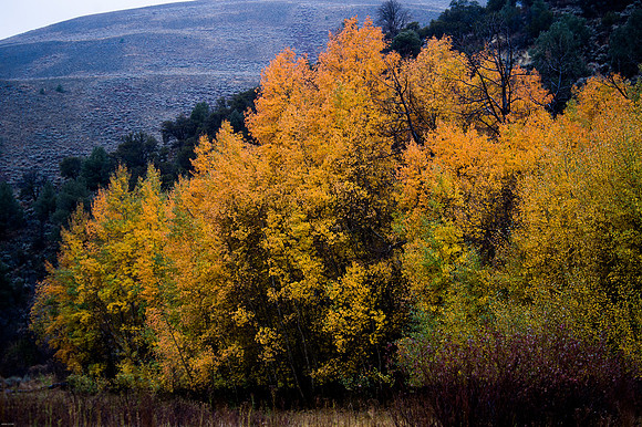 October Road Trip 2015-85