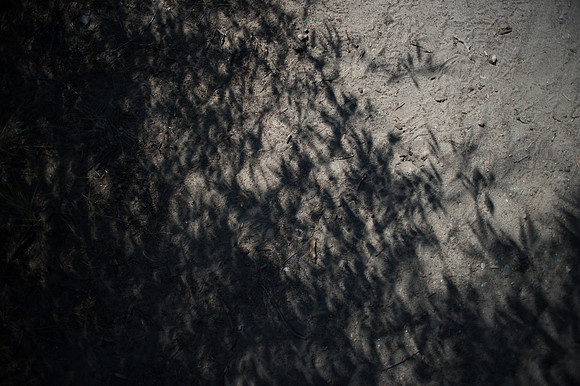 The Eclipse of 2017-258