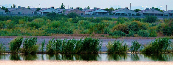 Las Vegas Wash Wetlands, Nevada