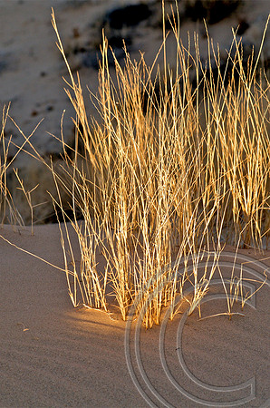 Kelso Dunes, Mojave Preserve