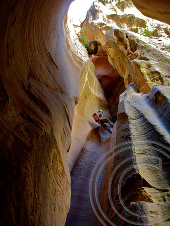 Birch Hollow, Utah