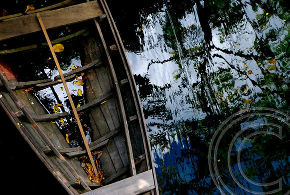 Rio Negro, Manaus Brazil