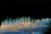 _DSC8142