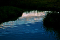 _DSC8140