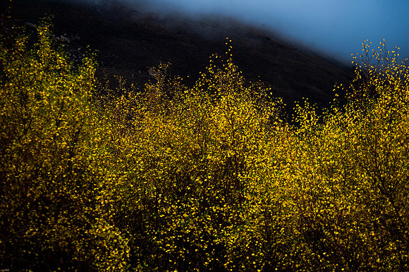 October Road Trip 2015-75