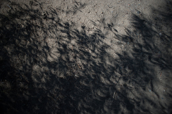 The Eclipse of 2017-257