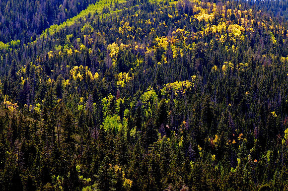_DSC4090