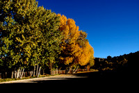 Belmont Nevada