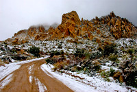 Christmas Tree Pass