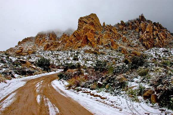 Christmas Tree Pass