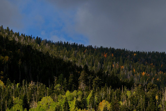 _DSC4128