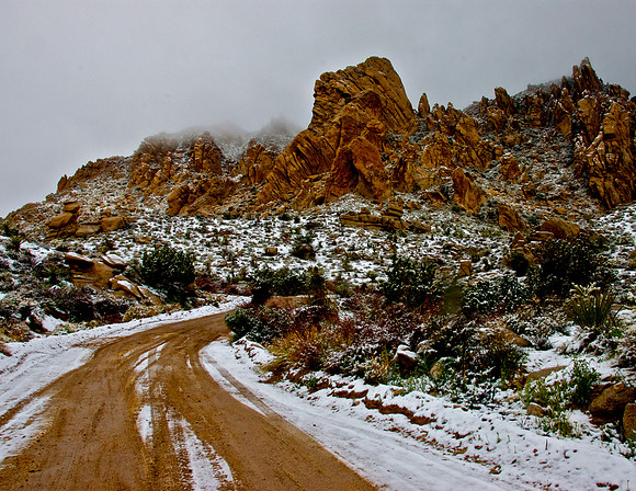Christmas Tree Pass in the Newberry Mountains