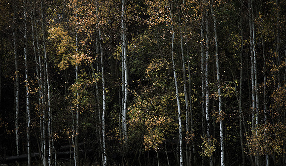 October Road Trip 2015-103