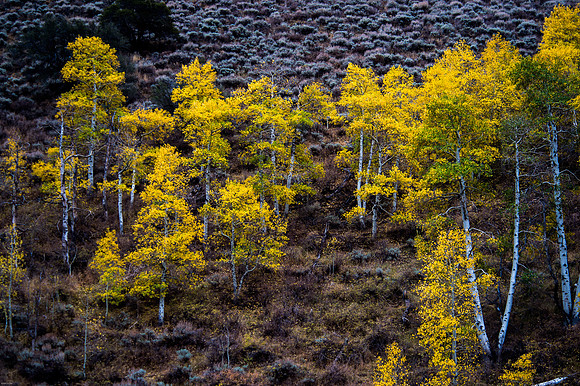 October Road Trip 2015-72