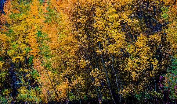 October Road Trip 2015-91