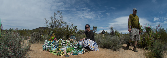 Mojave Road Trip 3.20.16-166