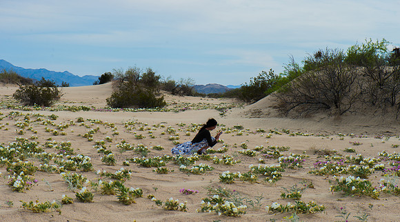 Mojave Road Trip 3.20.16-226