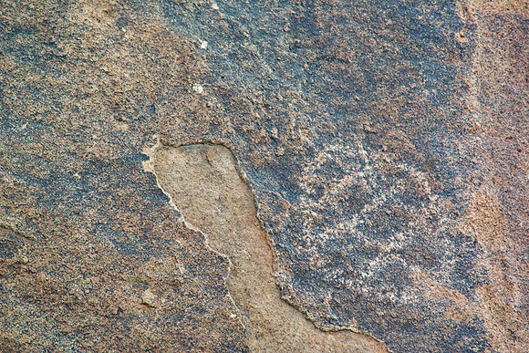 DSC_3894