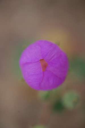 DSC_1977