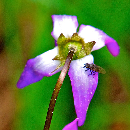 _DSC9658