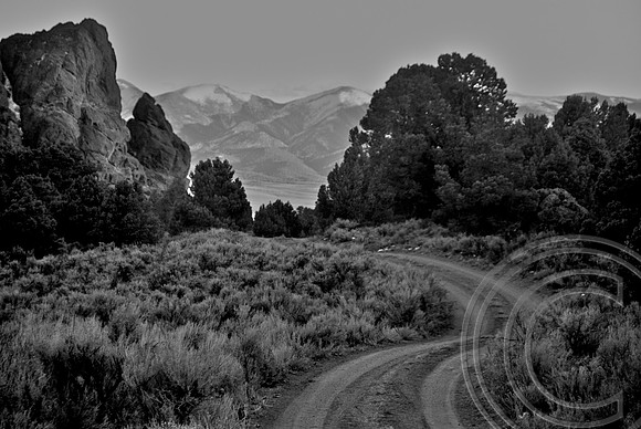 Monitor Valley