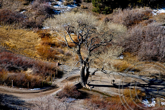 Wheeler Pass, Clark County Nevada