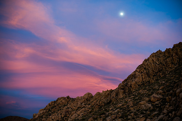 Mojave Road Trip 3.20.16-82