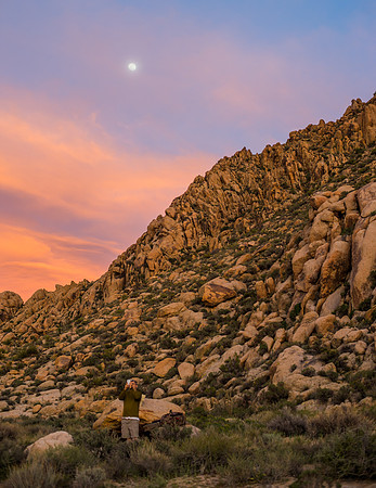 Mojave Road Trip 3.20.16-70