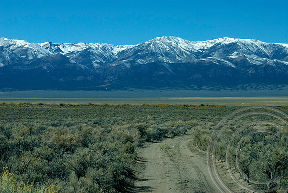Monitor Valley, Nye County Nevada