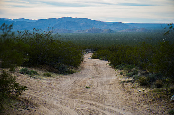 Mojave Road Trip 3.20.16-53