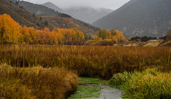 October Road Trip 2015-76
