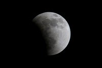 _DSC1832