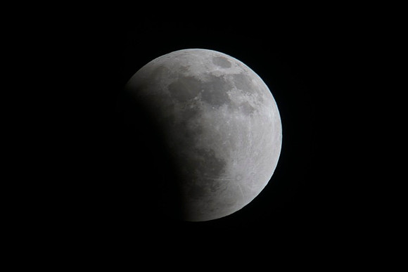 _DSC1832