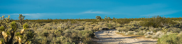 Mojave Road Trip 3.20.16-61
